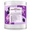 Beloved Candied Lilac & Blackberry 1-Wick Candle - 7oz - 2 of 4