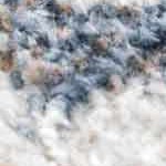 off white, blue, tan