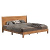 Galano Abby Serene Platform Bed with Headboard in Amber Walnut, Oslo Oak - 3 of 4