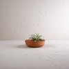 Contoured Terracotta Trinket Tray - Foreside Home & Garden - 2 of 4