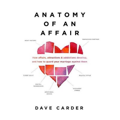 Anatomy of an Affair - by  Dave Carder (Paperback)