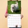 TF Publishing 13.5"x14.5" 2026 Puppies Wall Calendar - 4 of 4