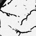 stone cold steve austin