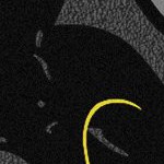 stone cold steve austin