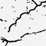 stone cold steve austin