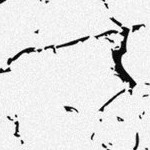 stone cold steve austin