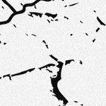 stone cold steve austin