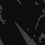 stone cold steve austin