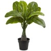 Nearly Natural Areca, Fountain & Banana Palm Artificial Trees (Set of 3) - image 4 of 4