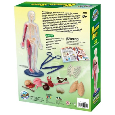 Wild! Science Hands-On Human Body Science Kit_2