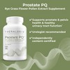 Theralogix Prostate PQ Rye Grass Flower Pollen & Quercetin Supplement - 2 of 4
