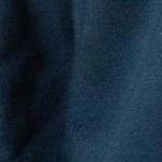 ravenclaw