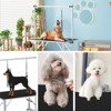 Dog Pet Grooming Table Heavy Duty Adjustable with Overhead Arm, Two Grooming Noose Mesh Tray - 3 of 4