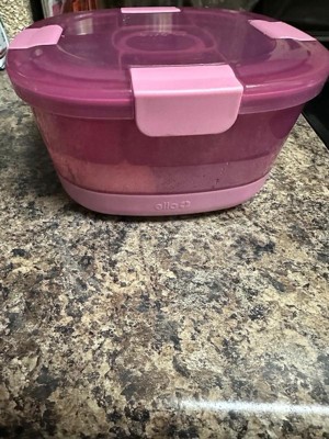 Exchange Select Disposable Containers Soup Salad Purple Lids 5 Pk., Food  Storage & Plastic Wrap, Household