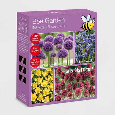 40pk Bee Garden Nature Friendly Collection Assorted Bulbs - National Plant Network
