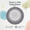 Portmeirion Potter's Mist Salad Plate, Set of 4 - Grey - 2 of 4