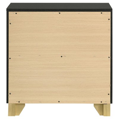 Black and Gold 2-Drawer Modern Nightstand