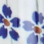 flowering peacock