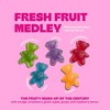 Tandy Belly Bears Fresh Fruit Medley Gummy Supplements - 1.76oz - 4 of 4