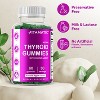 Thyroid Support with Kelp & Iodine - 60 Gummies - 3 of 4