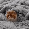 Bedsure | PV Fleece Blanket  a Chic Addition with Brushed Longfur - 4 of 4