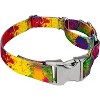 Country Brook Petz Martingale Dog Collar with Premium Buckle - Groovy Collection - 3 of 4