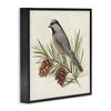 Stupell Industries Bird on Pine Tree, 12" x 12" - 3 of 4