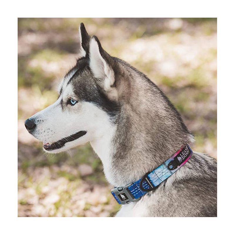 Leashboss Patterned Reflective Dog Collar, 3 of 5