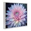 Stupell Industries Dew Kissed Pink Chrysanthemum Framed Giclee Art - 2 of 4