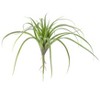 Large Artificial Air Plant 7.25"H Plastic & Wire Botanical Accent – Green Faux Succulent Decor (Set of 6) By Kalalou - 2 of 3