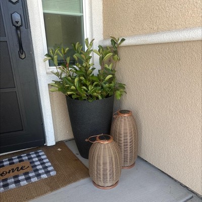 Guest review image 1 of 1, zoom in