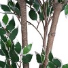 SEVOBAL Artificial Plants 69" Ficus Tree Pre-Potted Faux Greenery with Glossy Leaves for Home Office Decor, Green, 31"*31"*69" - 3 of 4
