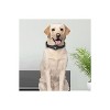 SaharaCase Adjustable Silicone Dog Collar for Apple AirTag Large Dogs) Black (AT00030) - 4 of 4