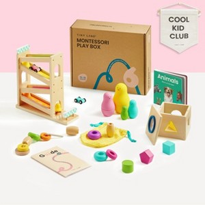 Tiny Land® Montessori Toys Set for Toddlers (16-18 month) - 1 of 4