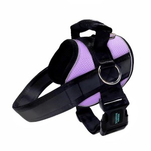 Joyride Harness Premium Advanced No Pull Dog Harness 2.0 Lavender Breeze - 1 of 4