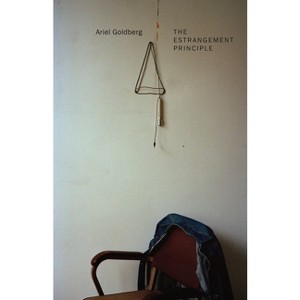Estrangement Principle - by  Ariel Goldberg (Paperback) - 1 of 1