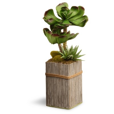 Garden Accents Artificial Succulent Plant 11" - National Tree Company