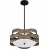 Quoizel Lighting Appleton 2 - Light Pendant in  Matte Black - 4 of 4