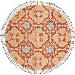 Aspen W/ Tassels APN217 Hand Tufted Indoor Rugs - Safavieh - 1 of 4