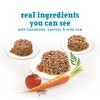 Purina Beneful IncrediBites Chicken, Beef & Salmon Recipes Small Dogs Wet Dog Food - 3oz/12ct Variety Pack - 3 of 4