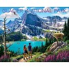 Glacier National Park by Boardwalk - Jigsaw Puzzle - 2 of 4