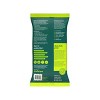 Goodwipes Botanical Balance Flushable Wipes - 20ct - 2 of 4