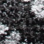 black/ivory