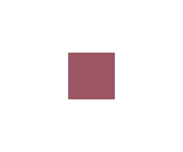 Coloured Raine Matte Lip Paint Mars - 0.12oz
