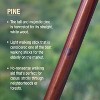 Brazos Handcrafted Wood Walking Stick, Pine, Trekker Style Handle, for Men & Women, Made in The USA - 3 of 4