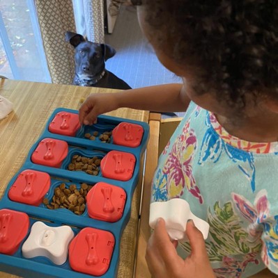 Nina Ottosson Smart Puzzle Dog Toy – Paws For Enrichment