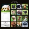 2026 Square Wall Calendar, Celestial, 16-Month Arts & Antiques Theme with 180 Reminder Stickers (12x12 In) - 4 of 4