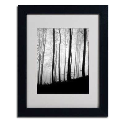Trademark Fine Art -Philippe Sainte-Laudy 'Black Lines' Matted Framed Art