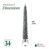 Evergreen Classics Pre Lit Frosted Albert Pine Artificial Holiday Christmas Tree with Warm White LED Lights and Metal Stand - 3 of 4