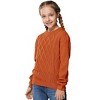 BLUEMING Girls Long Sleeve Cable Knit Sweater Crew Neck Pullover Sweaters Kids Casual Fall Jumper Tops for Autumn Adventures - 3 of 4